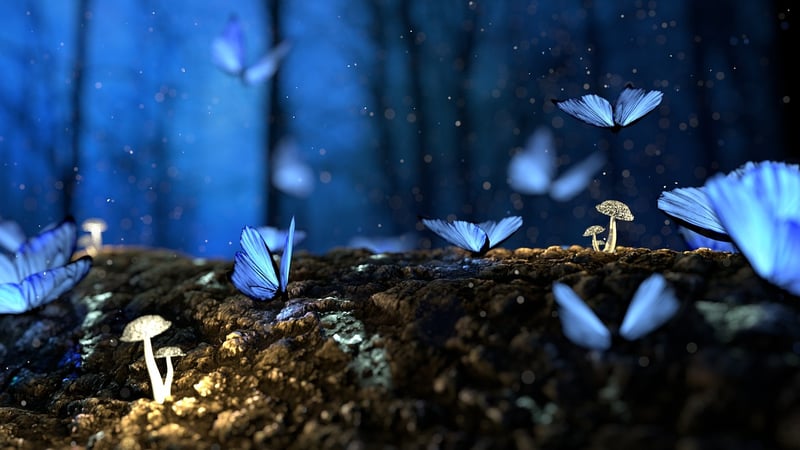 Enchanted Forest Theme